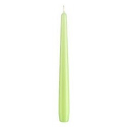 Conical, light green, 20 cm.