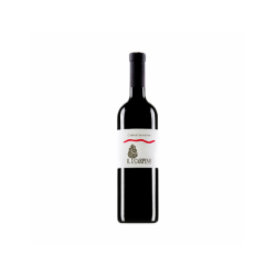 CABERNET SAUVIGNON IL...