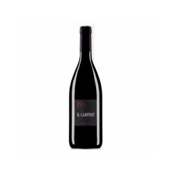 MERLOT IL CARPINO VINO...