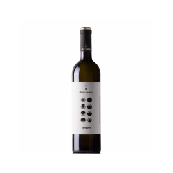 SAUVIGNON TURCO VINO BIANCO...