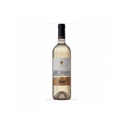 VERDUZZO FRIULANO VIE D'ALT...