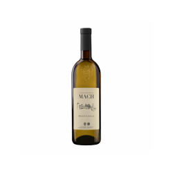 MOSCATO GIALLO F.E. MACH...