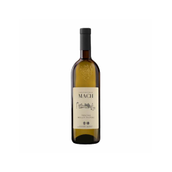 MULLER THURGAU F.E. MACH...