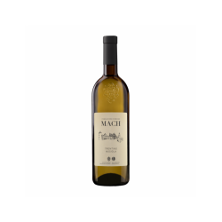 NOSIOLA F.E. MACH VINO...