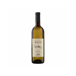 PINOT BIANCO F.E. MACH VINO...