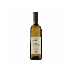 RIESLING F.E. MACH VINO...