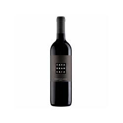 CHIANTI CLASSICO CASA...