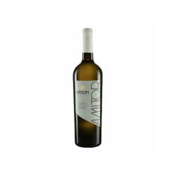 AMITOR ILATIUM MORINI VINO...