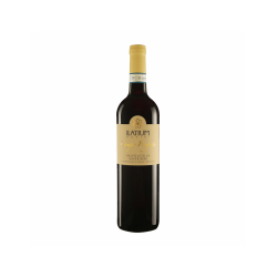CAMPO PROGNAI VALPOLICELLA...