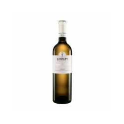 SOAVE LE CALLE ILATIUM...