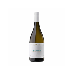 SINTONIA GRECO E FIANO DOC...