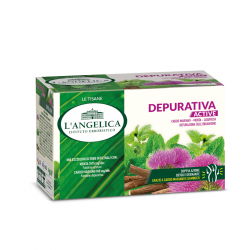 TISANA DEPURATIVA L'ANGELICA