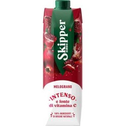 SUCCO SKIPPER BRIK MELOGRANO