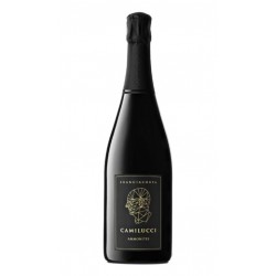 FRANCIACORTA AMMONITES...
