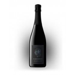 FRANCIACORTA AMMONITES...