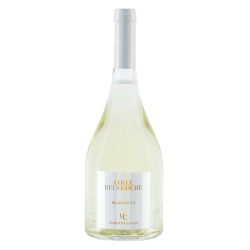PIGNOLETTO COLLE BELVEDERE...
