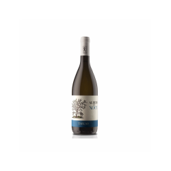 FRIULANO ALBERO DEL NOCE...