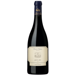 PINOT NERO CASTELLO DELLA...