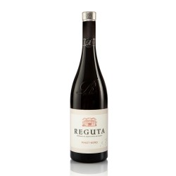 PINOT NERO REGUTA RED WINE IGP