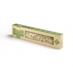 CONDORELLI SOFT PISTACHIOS...