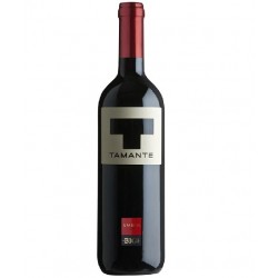 TAMANTE BIGI RED WINE IGT